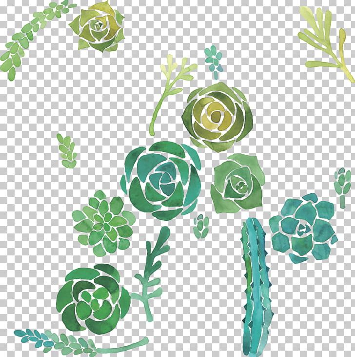 Cactaceae Watercolor Painting Succulent Plant Illustration PNG, Clipart, Color, Flower, Flower Arranging, Flowers, Happy Birthday Vector Images Free PNG Download