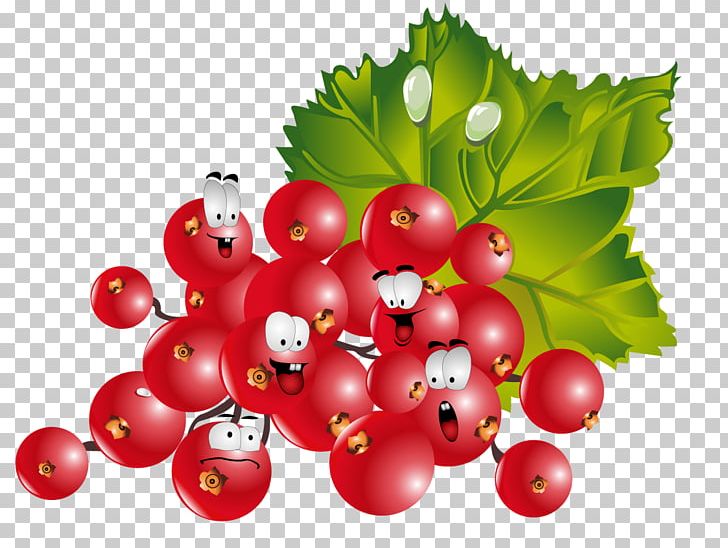 Frutti Di Bosco Redcurrant Fruit Vegetable PNG, Clipart, 3d Villain, 3d Villain Photos, Aquifoliales, Cartoon, Currant Free PNG Download