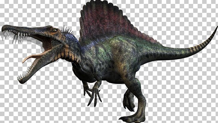 Carnivores: Dinosaur Hunter Spinosaurus Tyrannosaurus Giganotosaurus Dinosaur Size PNG, Clipart, Allosaurus, Animal Figure, Baryonyx, Carcharodontosaurus, Carnivore Free PNG Download