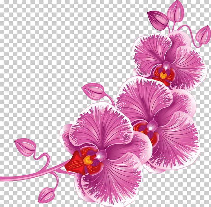 Herbaceous Plant Flower Arranging Violet PNG, Clipart, Desktop Wallpaper, Down, Drawing, Encapsulated Postscript, Floral Design Free PNG Download
