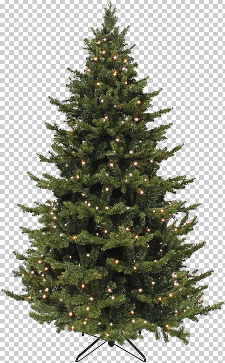 Artificial Christmas Tree Spruce Abies Bracteata PNG, Clipart, Abies Bracteata, Artificial Christmas Tree, Christmas, Christmas Decoration, Christmas Ornament Free PNG Download