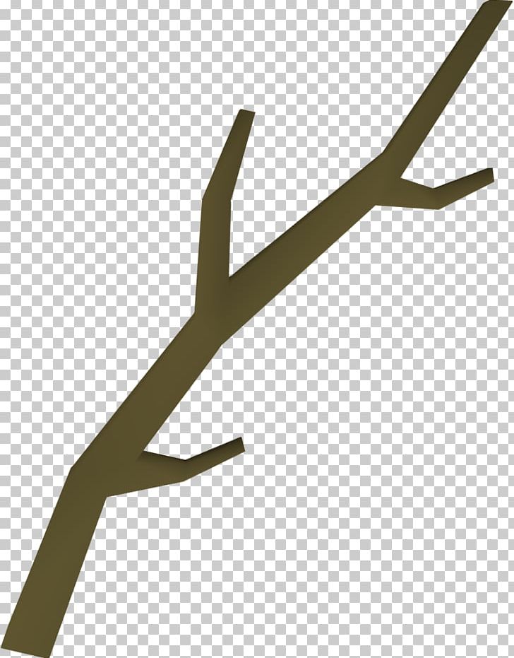 Branch Tree PNG, Clipart, Angle, Branch, Drawing, Free Content, Hand Free PNG Download