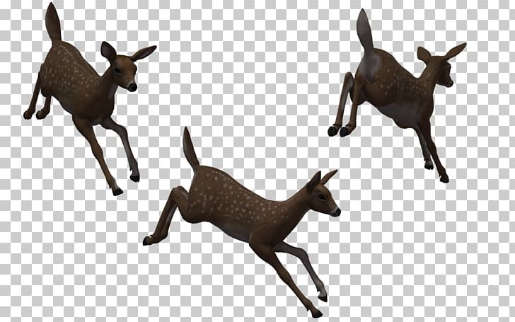 Deer Horse Computer Icons PNG, Clipart, Animal, Animal Figure, Animals, Antelope, Cartoon Free PNG Download