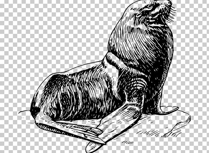 Earless Seal Harbor Seal Harp Seal PNG, Clipart, Animals, Arm, Big Cats, Bird, Carnivoran Free PNG Download