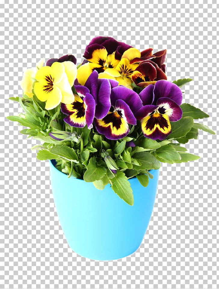 Pansy Photography Flower Color Yellow PNG, Clipart, Blue, Color, Cut Flowers, Desktop Wallpaper, Floral Design Free PNG Download