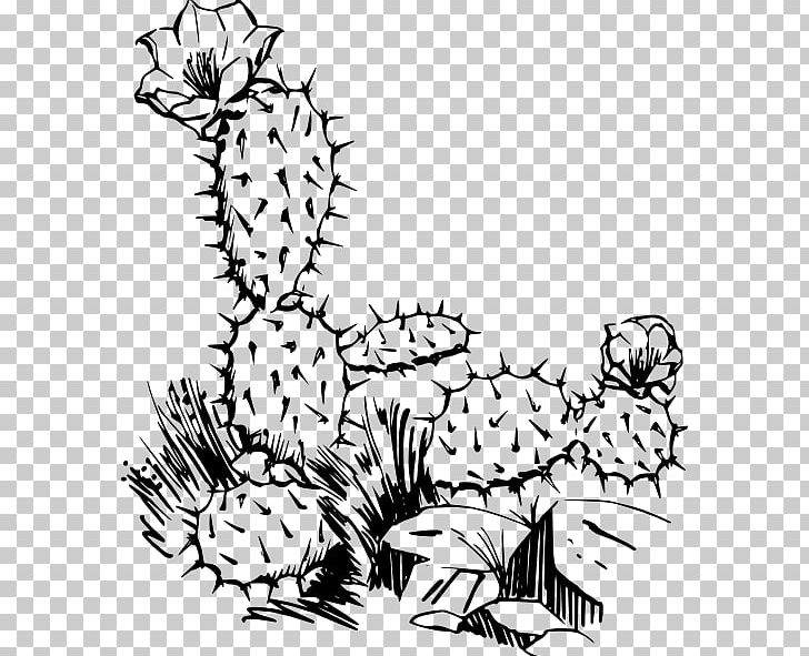 Succulents And Cactus Cactaceae Saguaro PNG, Clipart, Art, Artwork, Black, Branch, Carnivoran Free PNG Download