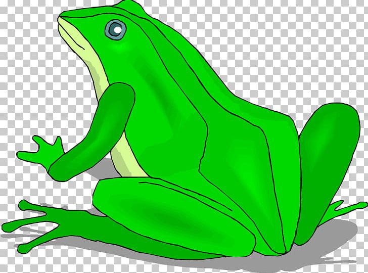 Toad Tree Frog Lithobates Clamitans PNG, Clipart, Amphibian, Animal, Blue Poison Dart Frog, Clip Art, Fauna Free PNG Download