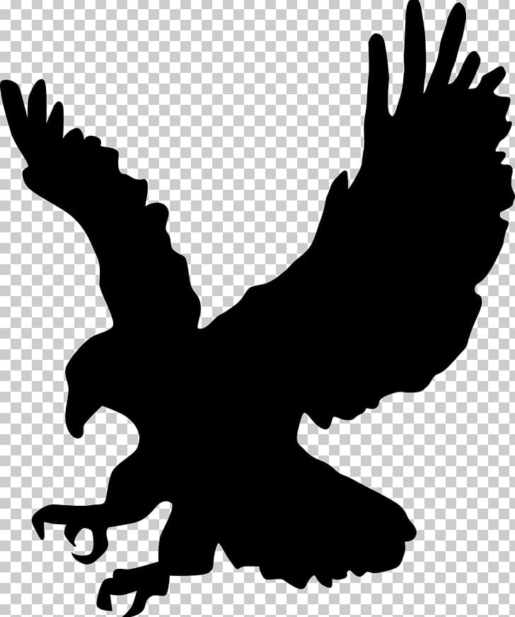 Bald Eagle PNG, Clipart, Animals, Artwork, Bald Eagle, Beak, Bird Free PNG Download