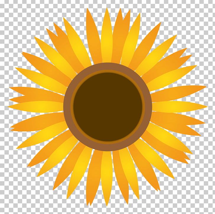 Common Sunflower Illustration Summer PNG, Clipart, Cartoon, Circle, Closeup, Common Sunflower, Daisy Family Free PNG Download