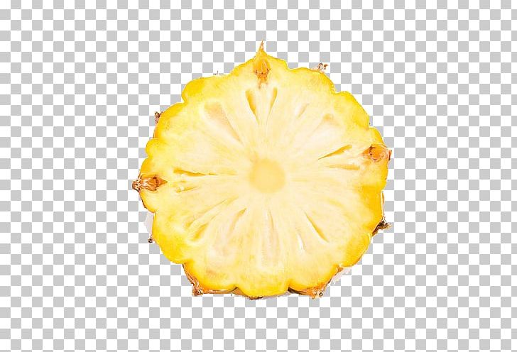 Juice Pineapple Slice Fruit PNG, Clipart, Ananas, Auglis, Creative Ads, Creative Artwork, Creative Background Free PNG Download