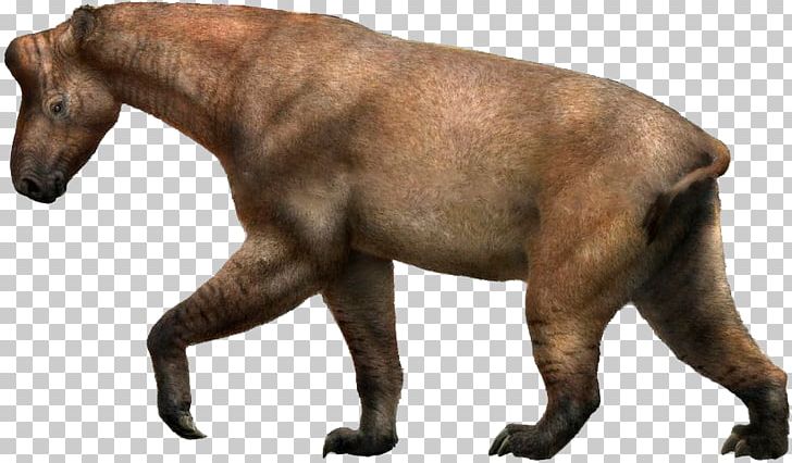 Chalicotherium Ancylotherium Tanystropheus Miocene Dinocrocuta PNG, Clipart, Ancylotherium, Animal, Carnivoran, Chalicothere, Chalicotherium Free PNG Download