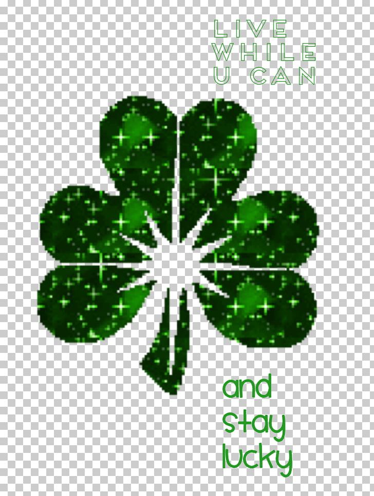 Saint Patrick's Day Shamrock Ireland Irish People PNG, Clipart, Ireland, Irish People, Shamrock Free PNG Download