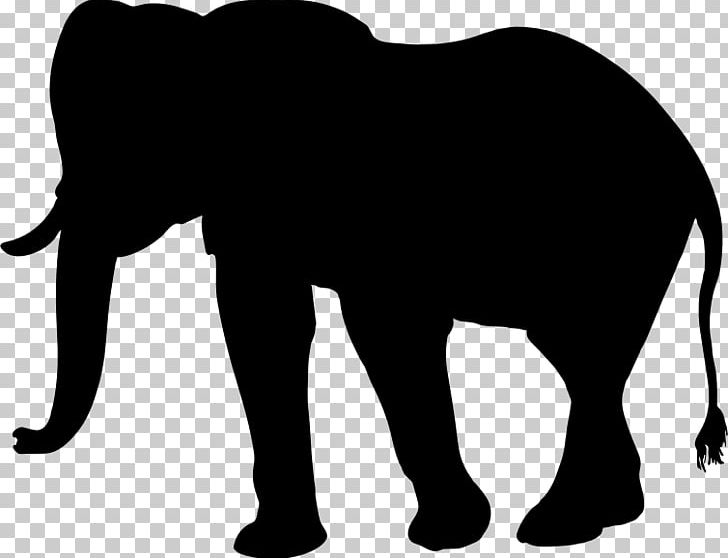 African Elephant Asian Elephant PNG, Clipart, African Elephant, Animals, Asian Elephant, Big Cats, Black Free PNG Download