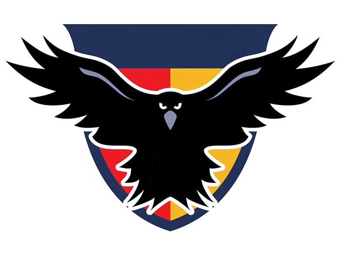 Austin Crows Dallas Magpies Houston Lonestars Australian Football League PNG, Clipart, Animals, Austin, Austin Crows, Australian Football League, Australian Rules Football Free PNG Download