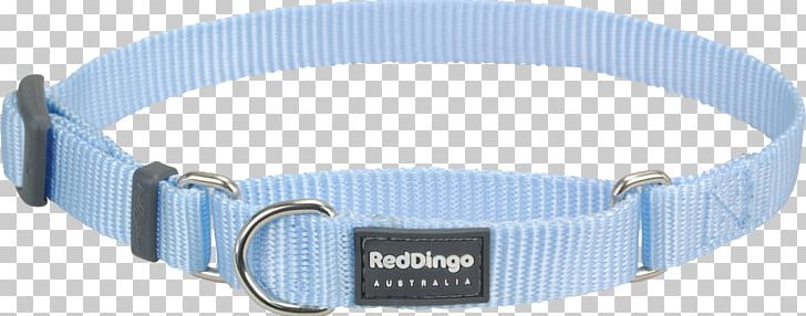 Dog Collar Dingo Martingale PNG, Clipart, Animals, Blue, Blue Mc, Buckle, Choker Free PNG Download