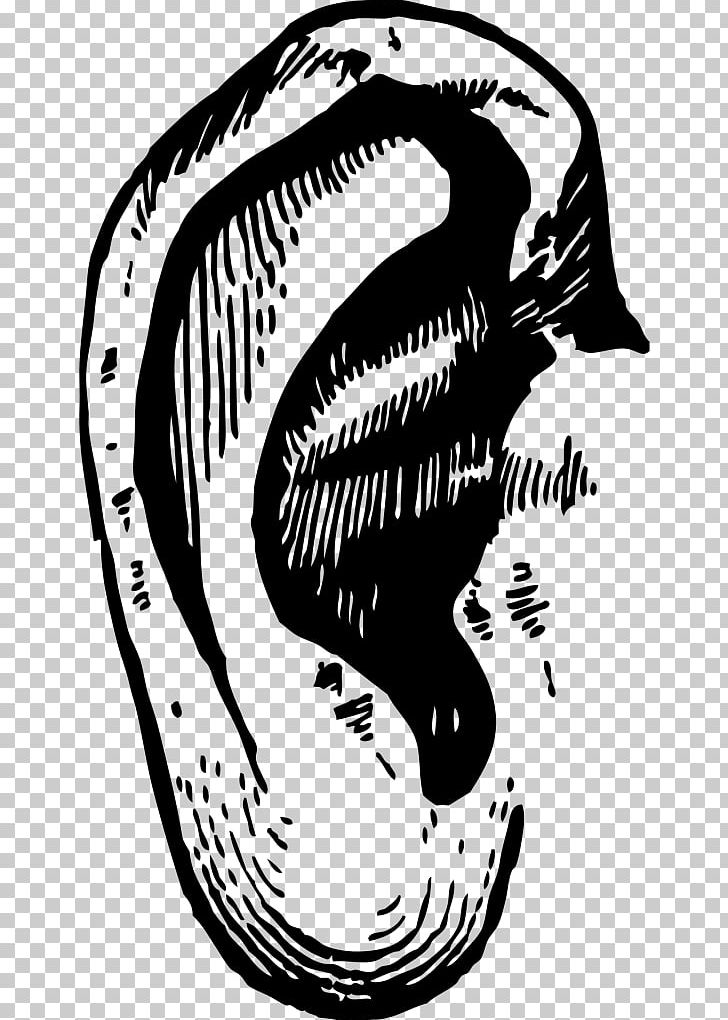 Ear Drawing PNG, Clipart, Artwork, Black And White, Computer Icons, Diagram, Dog Ears Free PNG Download