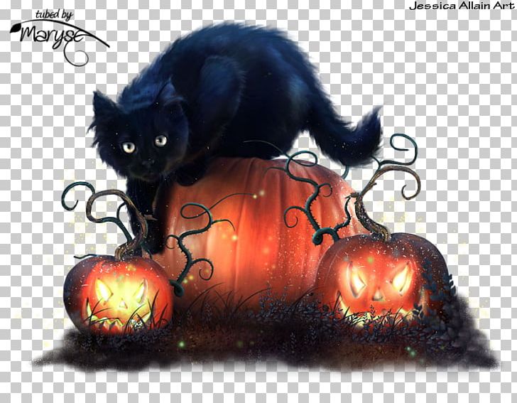 Halloween Kitten Cat Trick Or Treachery PNG, Clipart, 31 October, Black Cat, Carnivoran, Cat, Cat Like Mammal Free PNG Download