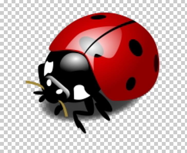 Ladybird Beetle Portable Network Graphics PNG, Clipart, Animals, Arthropod, Beetle, Bicycle Helmet, Desktop Wallpaper Free PNG Download
