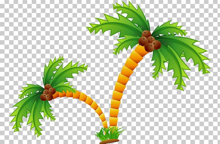 Coconut Arecaceae Tree PNG, Clipart, Arecales, Christmas Tree, Coco, Coconut, Coconuts Free PNG Download