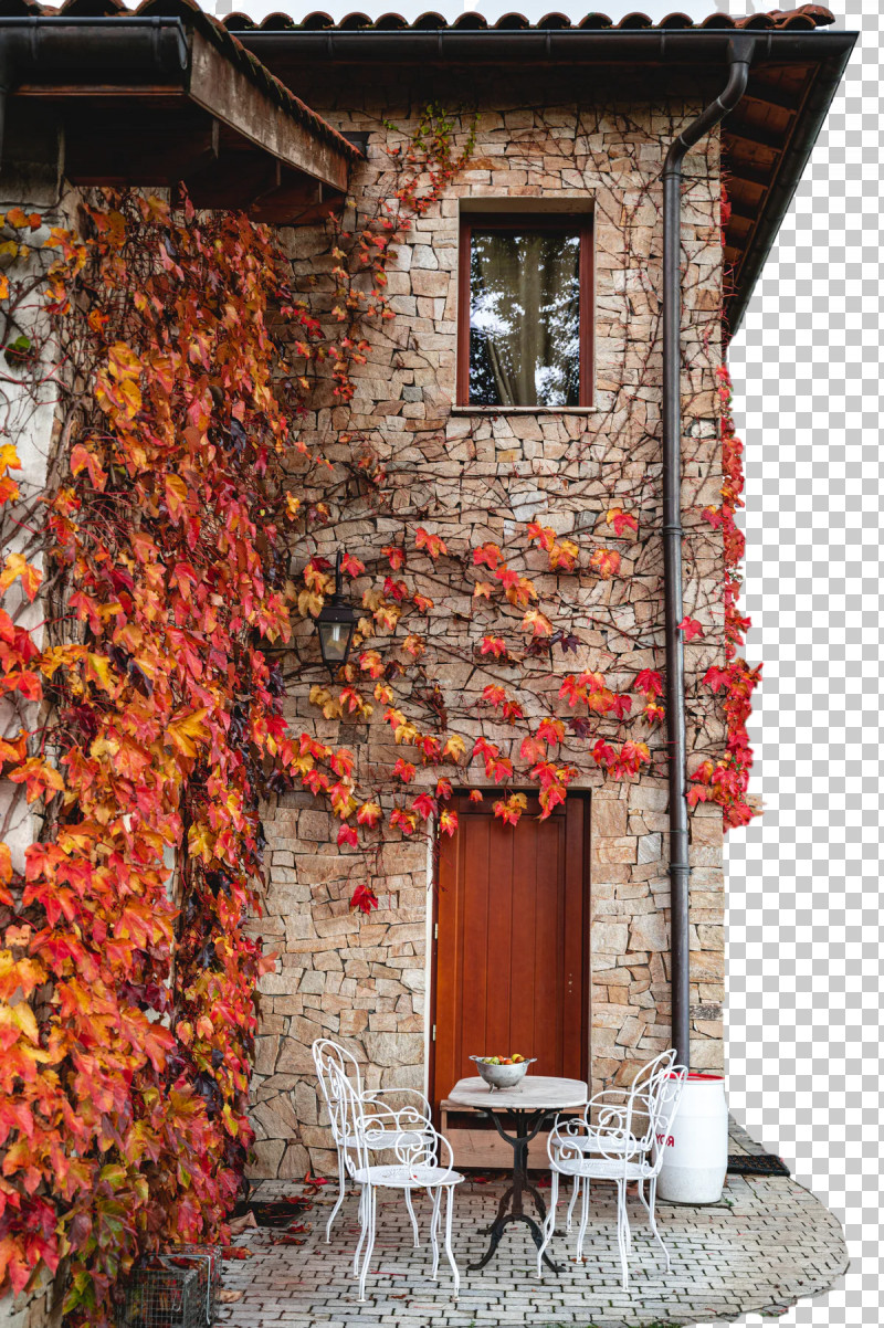 Autumn Window PNG, Clipart, Autumn, Window Free PNG Download