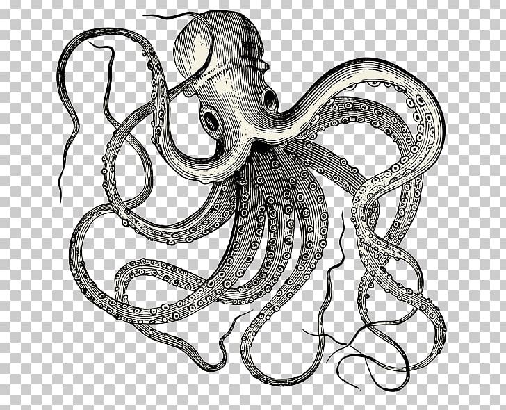 Antique Wall Poster Etsy PNG, Clipart, Antique, Art, Black And White, Cephalopod, Drawing Free PNG Download