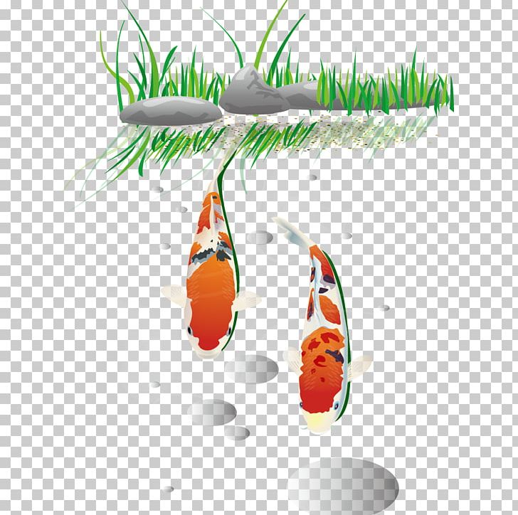 Fish PNG, Clipart, Animals, Aquatic, Aquatic Plants, Black And White, Clip Art Free PNG Download