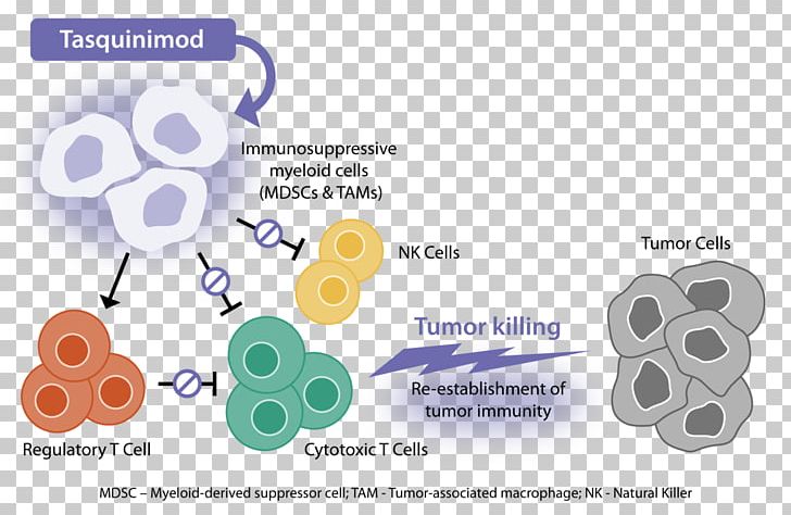 Tasquinimod Cancer Neoplasm Flow Diagram Active Biotech PNG, Clipart, Active, Biotech, Biotechnology, Brand, Cancer Free PNG Download