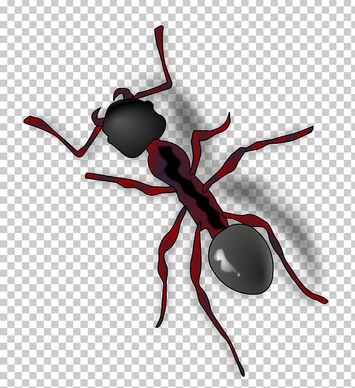 Ant PNG, Clipart, Ant, Ant Colony, Ants, Arthropod, Black Garden Ant Free PNG Download