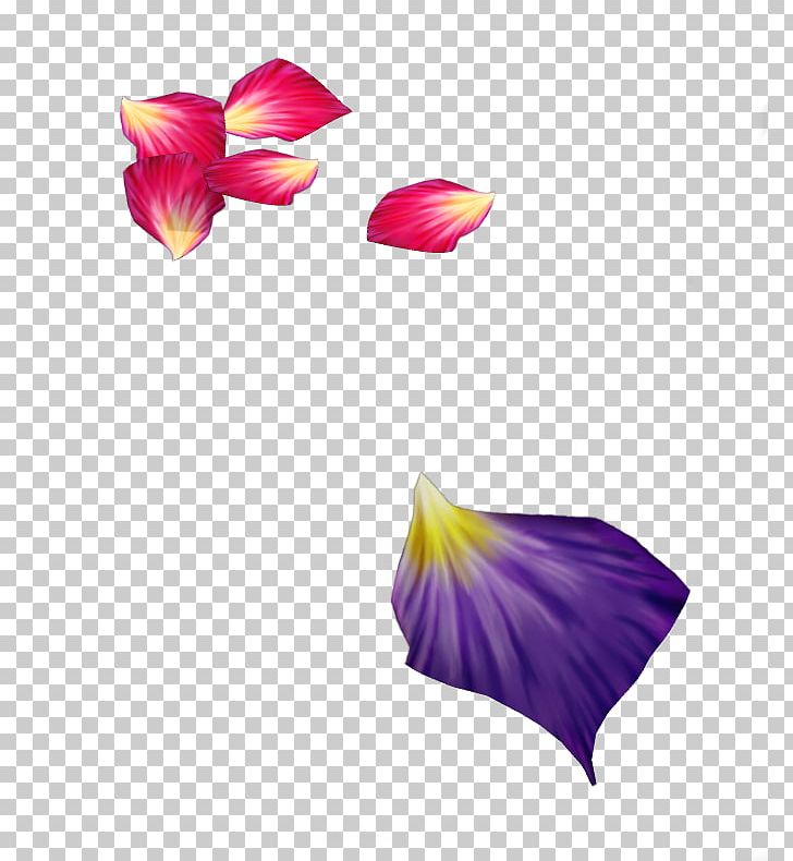 Flower Petal Purple Rose PNG, Clipart, Alpha Compositing, Flower, Lavender, Lilac, Magenta Free PNG Download