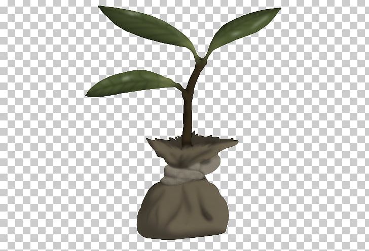 Leaf Flowerpot Houseplant Plant Stem Tree PNG, Clipart, Flowerpot, Houseplant, Leaf, Plant, Plant Stem Free PNG Download