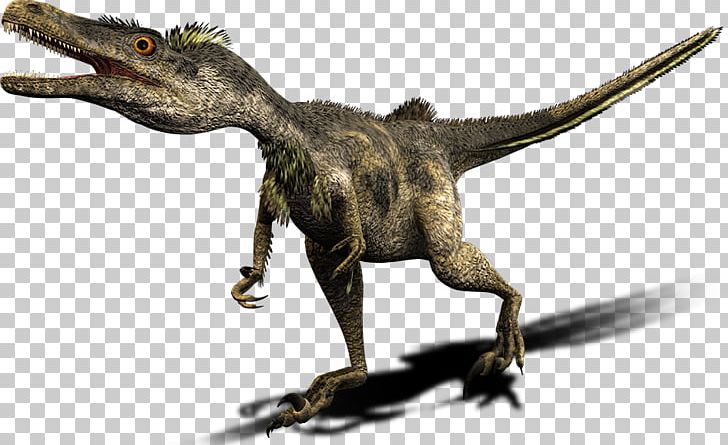 Velociraptor Tyrannosaurus Deinonychus Spinosaurus Carnotaurus PNG, Clipart, Beak, Carnotaurus, Deinonychus, Dinosaur, Extinction Free PNG Download