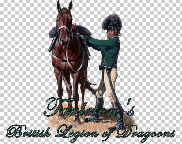American Revolutionary War United States British Legion Lee's Legion PNG, Clipart,  Free PNG Download