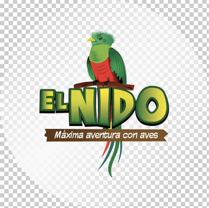 El Nido Logo Macaw Aviary Brand PNG, Clipart, Aviary, Beak, Brand, El Nido, Fauna Free PNG Download