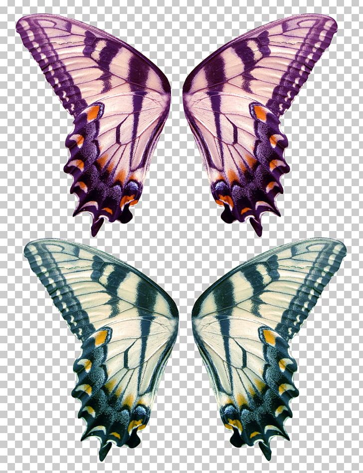 Monarch Butterfly Portable Network Graphics Moth PNG, Clipart, Arthropod, Blue, Brush Footed Butterfly, Butterflies And Moths, Butterfly Free PNG Download