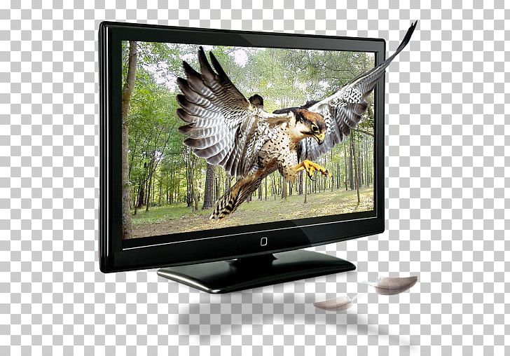 1080p High-definition Television Digital Television Television Set PNG, Clipart, 1080p, Amlogic, Amplifier, Creative Background, Decorative Free PNG Download