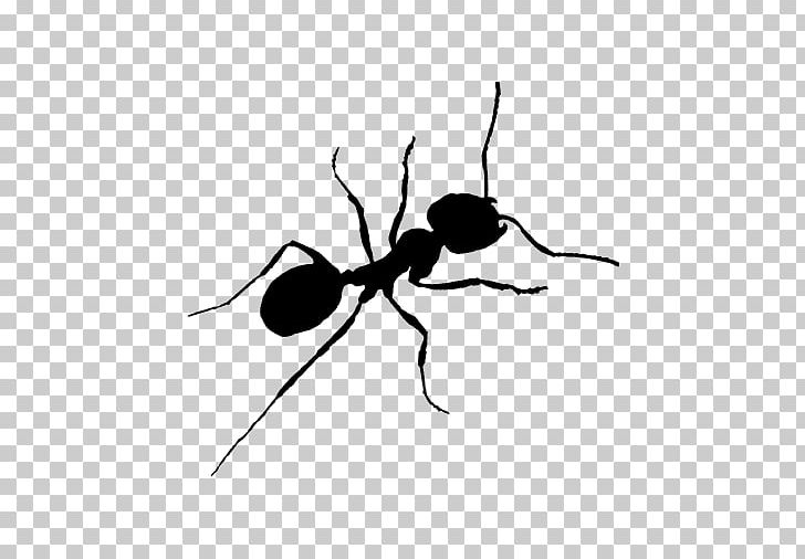 Ant Child T-shirt PNG, Clipart, Animation, Ant, Ant Colony, Arthropod, Baby Toddler Onepieces Free PNG Download
