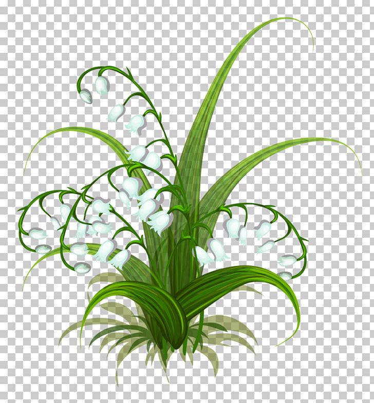 Lily Of The Valley Flower PNG, Clipart, Encapsulated Postscript, Flora, Floral Design, Flower Bouquet, Flowering Plant Free PNG Download