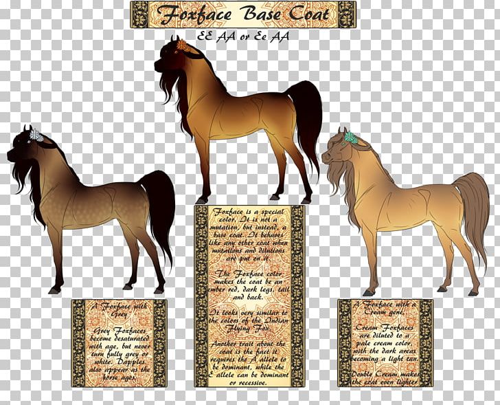 Mustang Foal Foxface Pony Mare PNG, Clipart, Art, Artist, Deviantart, Foal, Halter Free PNG Download