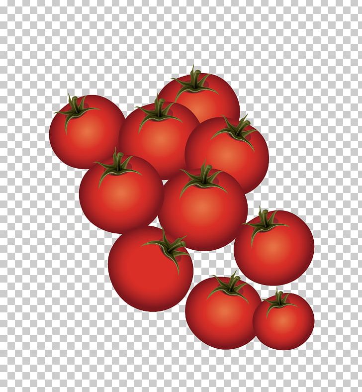 Plum Tomato Bush Tomato PNG, Clipart, Apple, Cherry Tomato, Diet Food, Food, Fruit Free PNG Download