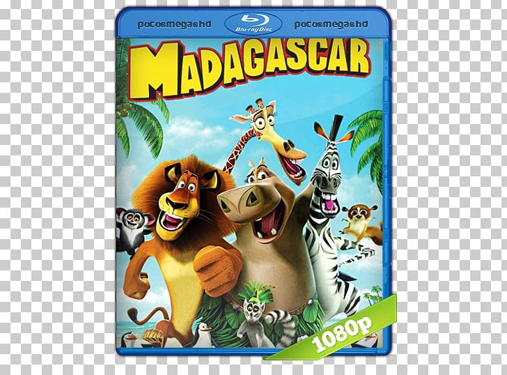 Alex Madagascar Animated Film Film Series PNG, Clipart,  Free PNG Download