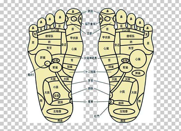 足裏健康法 Reflexology Massage あん摩マッサージ指圧師 Nuchal Rigidity PNG, Clipart, Angle, Area, Digit, Esthetic, Finger Free PNG Download