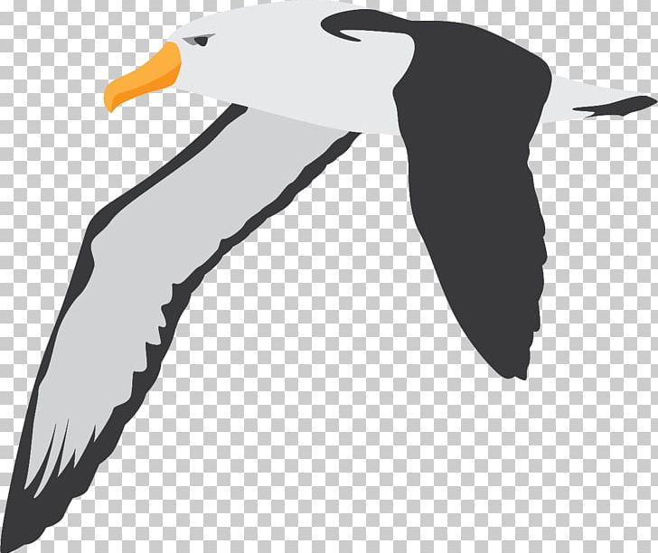Swan Goose Flight Bird Penguin PNG, Clipart, Anatidae, Animals, Anser, Beak, Bird Goose Free PNG Download