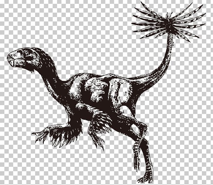 Caudipteryx Oviraptor Bird Dinosaur Therizinosaurus PNG, Clipart, Animal, Archaeopteryx, Black And White, Cartoon, Caudipteryx Free PNG Download