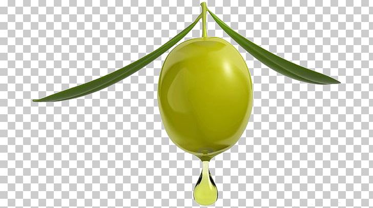 Olive Oil Olive Oil Mediterranean Cuisine Greek Cuisine PNG, Clipart, Almond Oil, Apple Fruit, Carrier Oil, Coconut Oil, Essential Oil Free PNG Download