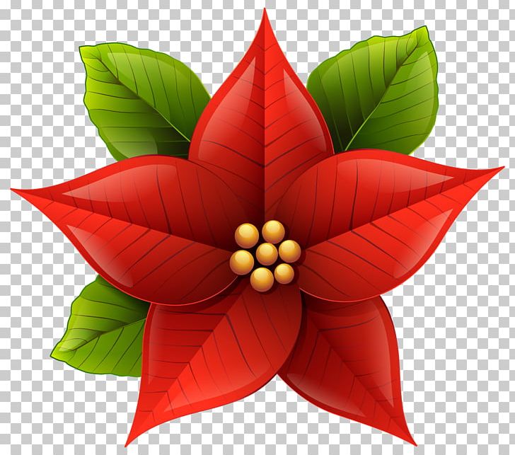 Poinsettia Christmas PNG, Clipart, Christmas, Document, Flower, Free Content, Joulukukka Free PNG Download
