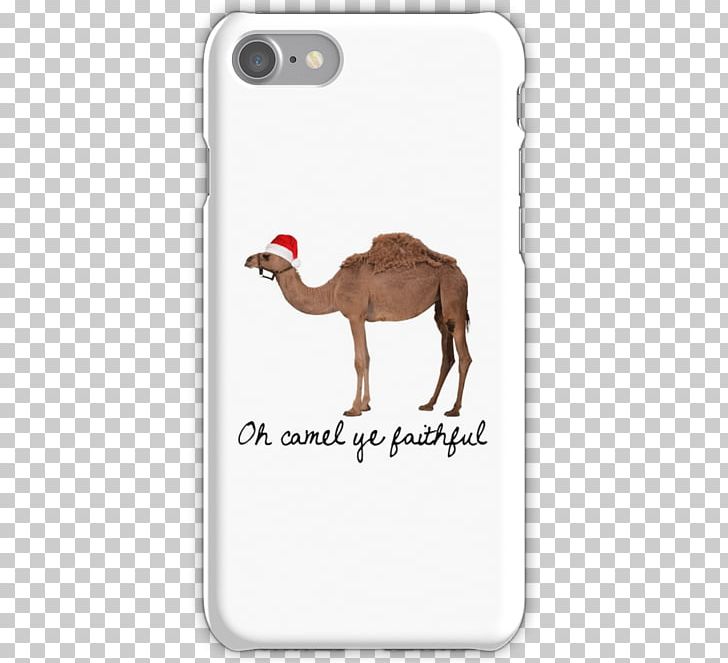 Camel Stock Photography Information PNG, Clipart, Animals, Arabian Camel, Camel, Camel Like Mammal, Download Free PNG Download
