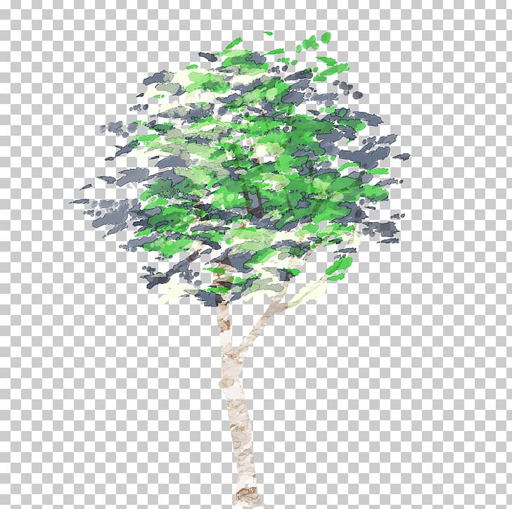 Tree Watercolor Painting Raw Format PNG, Clipart, Branch, Branching, Elf, Georges Labica, Houseplant Free PNG Download