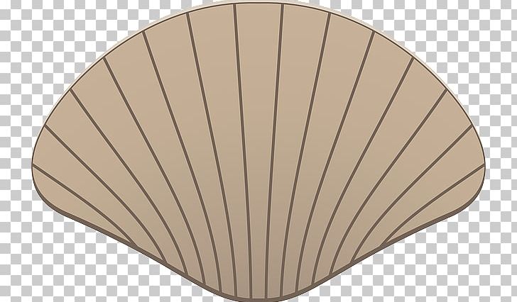 Clam Mussel Oyster Scallop PNG, Clipart, Angle, Animal, Beige, Benthic, Benthic Fauna Free PNG Download