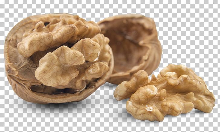 Walnut Hazelnut Almond PNG, Clipart, Allergeni Alimentari, Almond, Chocolate, Dried Fruit, Food Free PNG Download