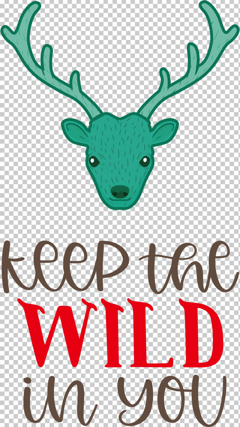 Keep Wild Deer PNG, Clipart, Antler, Biology, Deer, Keep Wild, Meter Free PNG Download